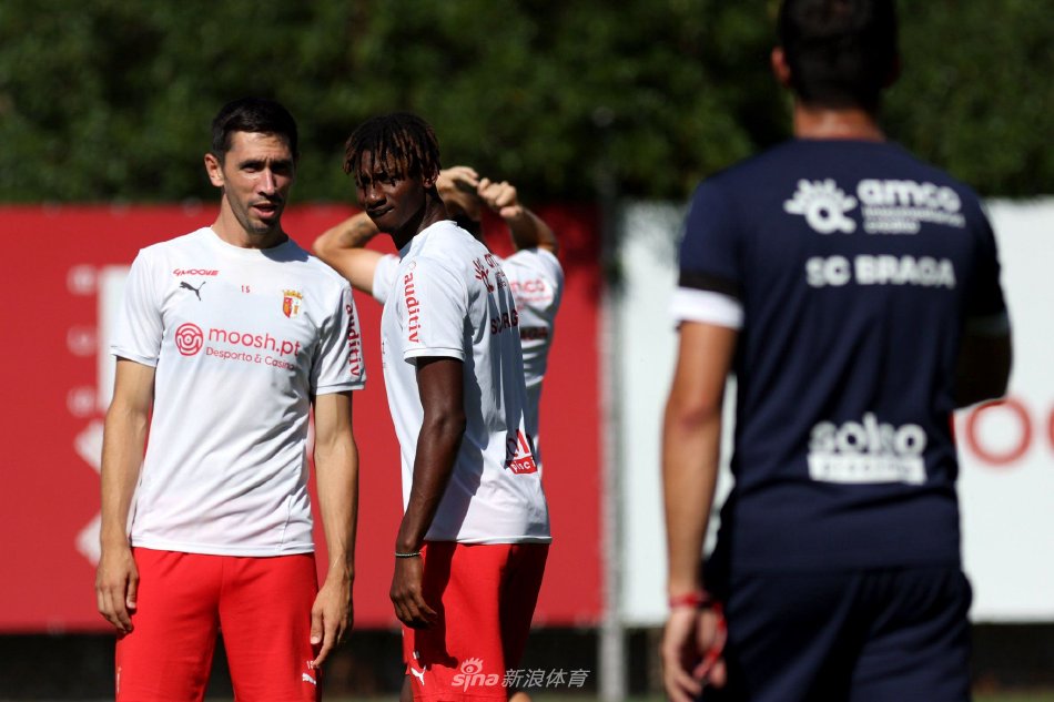 篮球与排球 篮球与排球