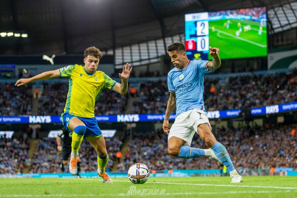 了全国媒体 了全国媒体